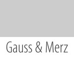 Hans-Jürg Gauss